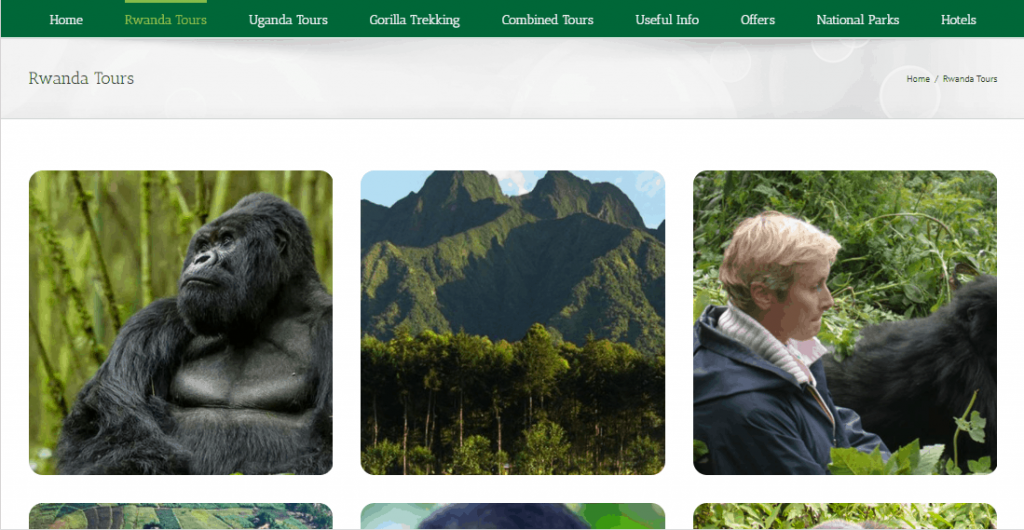 Gorilla Booking Permiits Website Design